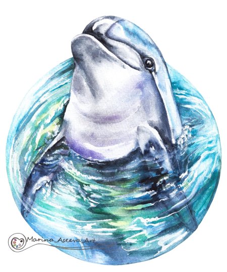 Дельфины акварелью