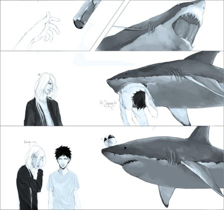 Скуало суперби и акула