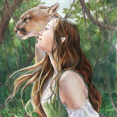 Эльфы с животными