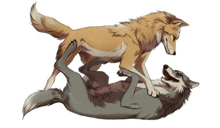 Аниме волки альфа и омега