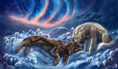 Джоди бергсма волки