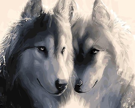 Волк и волчица