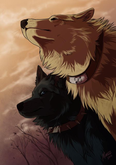 Аниме волчий дождь хиге