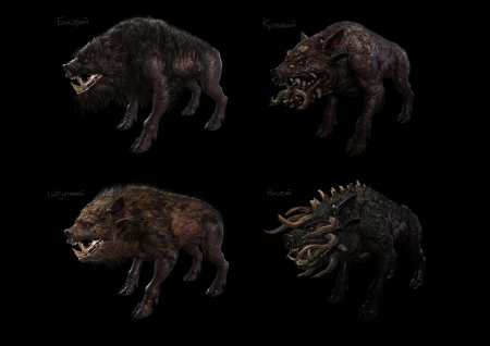 Кабан из сталкера