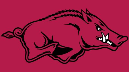 Arkansas razorbacks