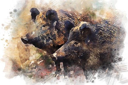 Картина кабан