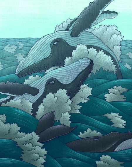 Джоди бергсма картины косатки