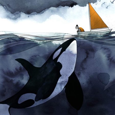 Касатка кит