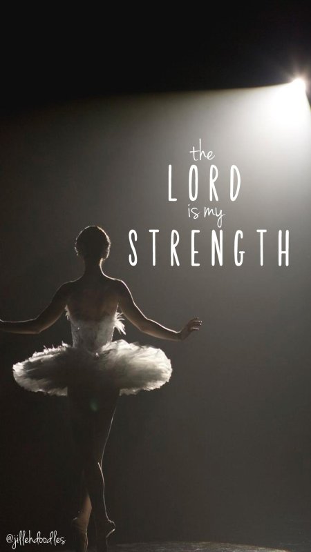 Лебединое озеро балет черный лебедь