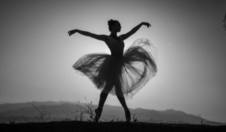 Силуэт балерина
