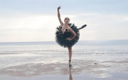 Лебединое озеро балет черный лебедь