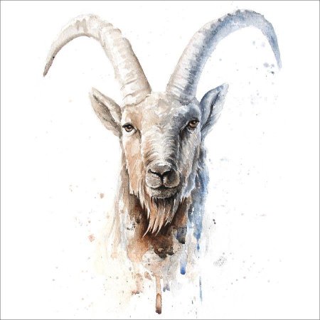 Акварельные животные