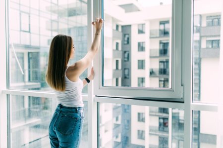 Окна будущего