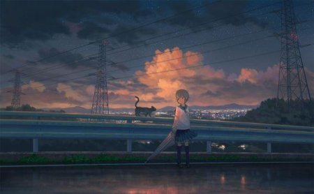 Аниме макото синкая