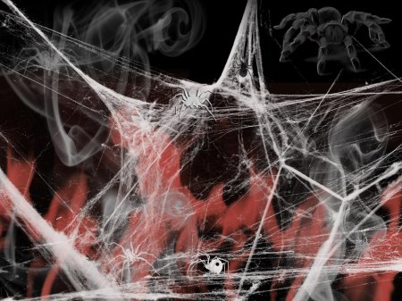 Паутина паук
