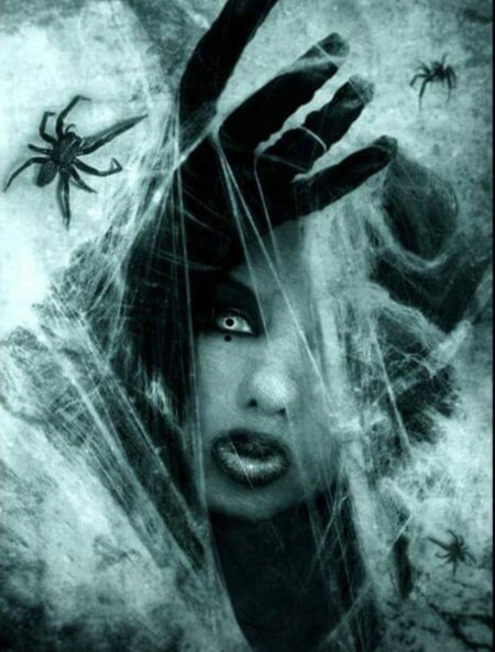 Девушка в паутине