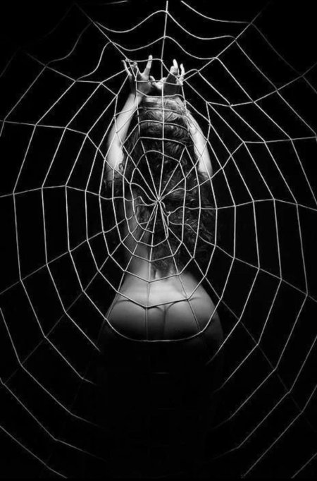 Запутался в паутине