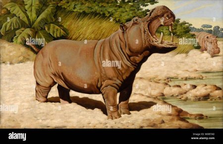 Древний бегемот
