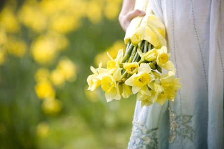 Монобукет нарциссы