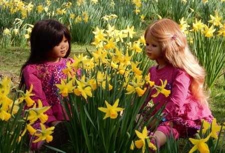 Фотосессия с нарциссами