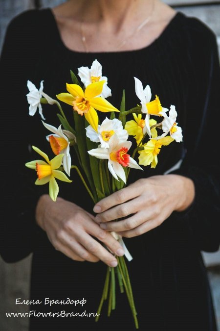 Нарциссы букет в руке
