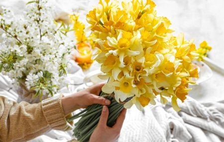 Нарцисс букет