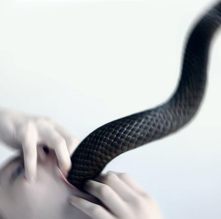 Змеи эстетика