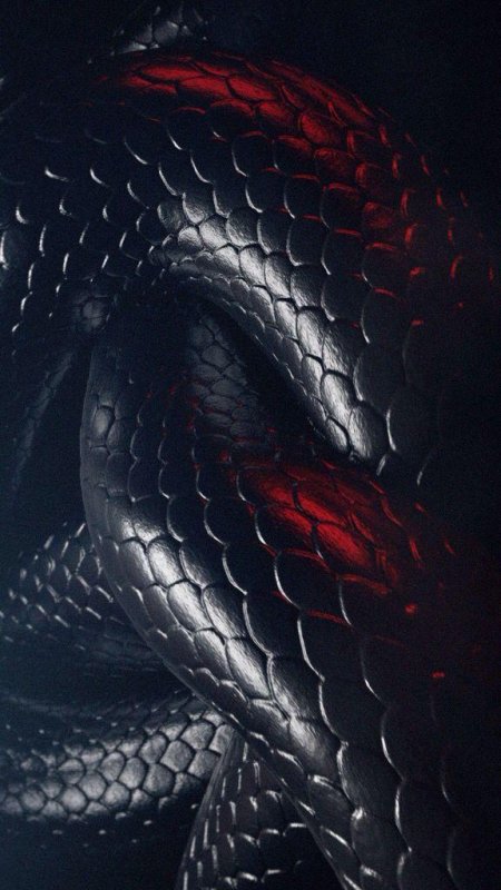 Черная змея