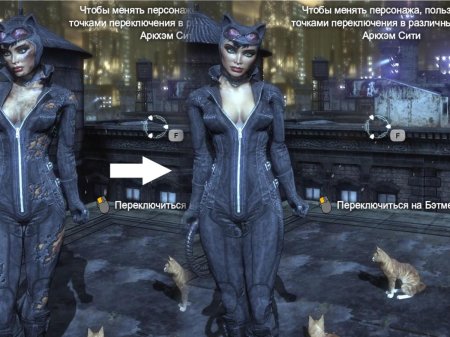 Бэтмен аркхем сити женщина кошка