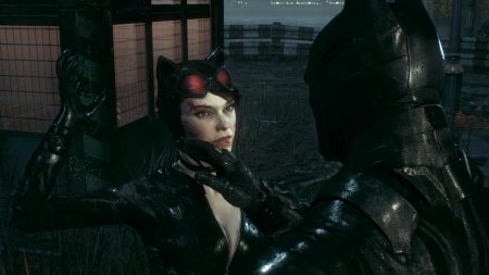 Селина кайл batman arkham knight