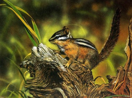 Бурундук и ежик арт