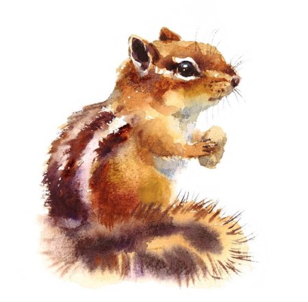 Бурундук акварель