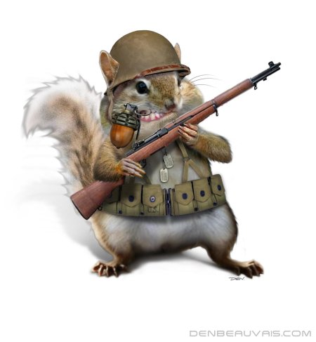 Боевая белка