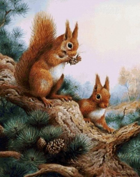 Картина белка