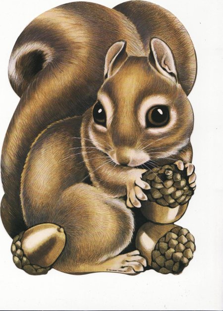 Рисунки белка