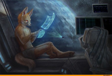 Фурри лис хакер