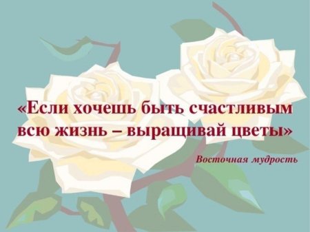 Высказывания о цветах