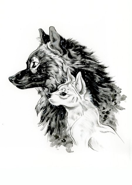 Эскиз волк