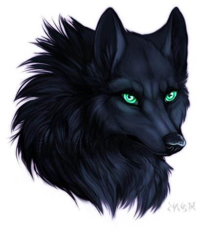 Блэк вульф волчица