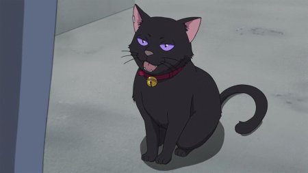 Темнее черного кот мао