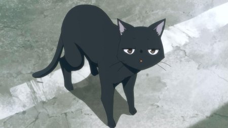 Темнее черного кот мао