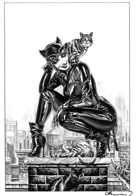 Catwoman селина кайл 2004