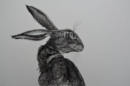 Кролик арт