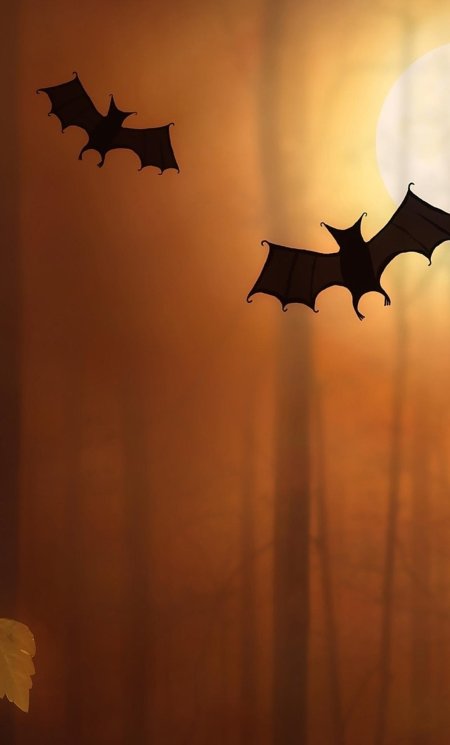 Летучая мыши