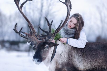 Фотосессия с северным оленем