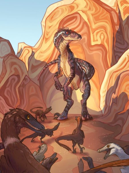 Эгеркранс велоцираптор