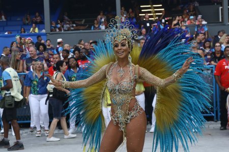 Карнавал рио де жанейро