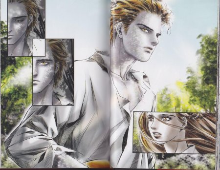 Сумерки графический роман