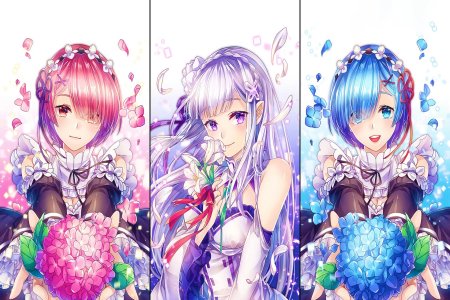 Рам рэм эмилия эмилия