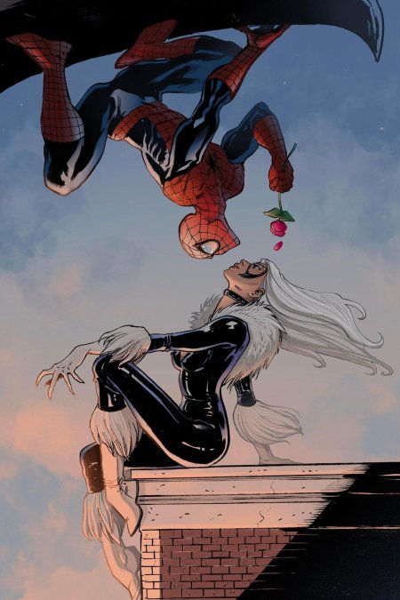 Женщина кошка марвел и человек паук